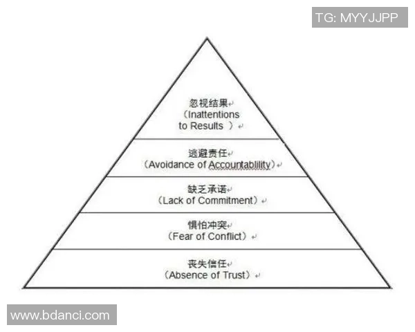 LNG战队在职业联赛中的团队协作表现分析与评价