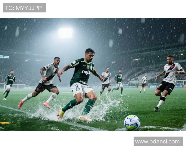 帕梅拉斯与博塔弗的激烈对决揭示巴西足球的魅力与竞争力