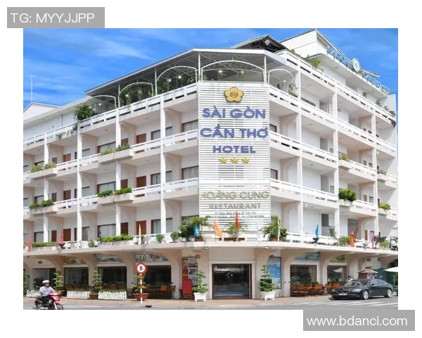 探索芹苴与胡志明市的文化差异与经济发展潜力之比较分析